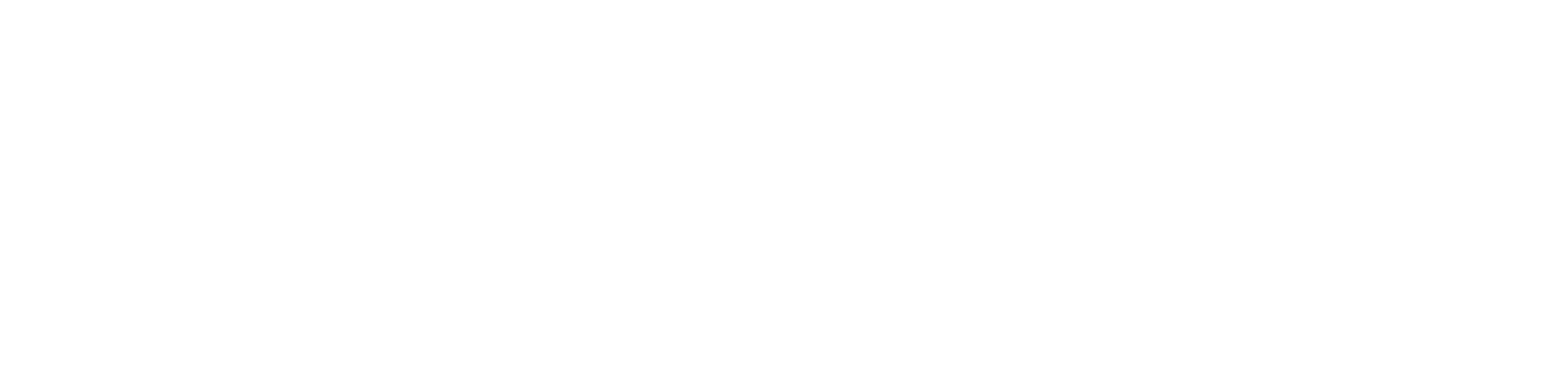 BIBUS